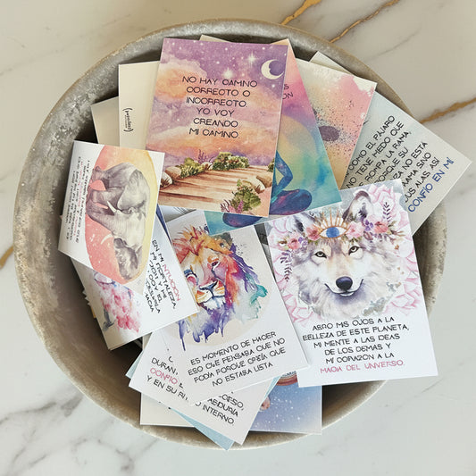 Cartas Metamorfosis