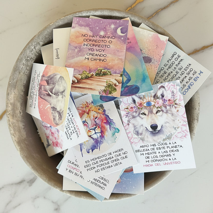Cartas Metamorfosis